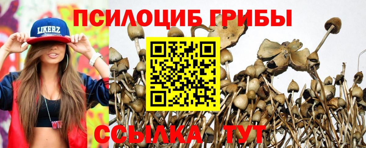 Дивногорск  Галлюциногенные грибы MAGIC MUSHROOMS  Вход с VPN 